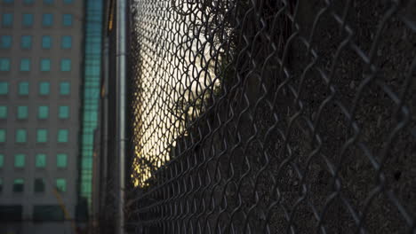 Generic-chainlink-fence-at-sunset