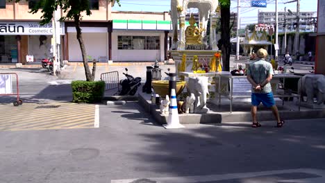 the tourist sees the statue of the deity