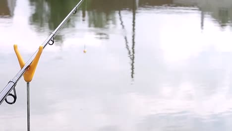 fishing with a new fishing rod on a lake stock video stock footage