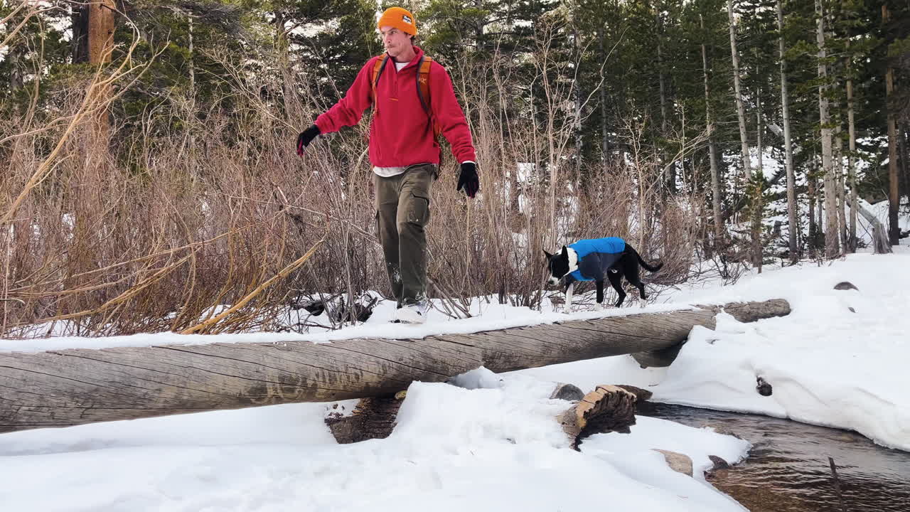 Wide shot of man balancing on snowy log followed by dog in forest wilderness