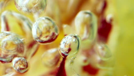 pétalos de rosa bajo el agua con burbujas