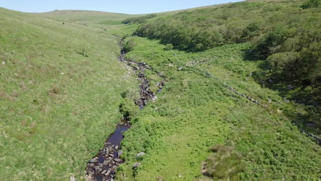 Wide-aerial-shot-tracking-forward,-with-wistmans-wood,-a-river-and-grassy-moorland-setting-the-scene