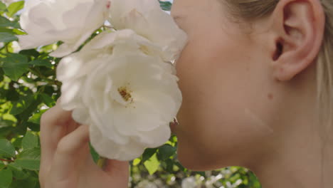 close up beautiful woman smelling roses blossoming in rose garden enjoying natural scent