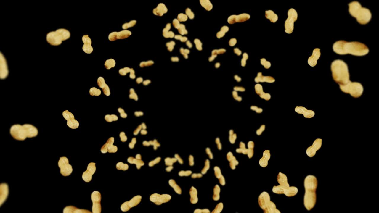 volando muchos cacahuetes en fondo negro. cacahuetes crudos. cacahuete en conchas. alimentos orgánicos saludables. animación de bucle 3d de la rotación de semillas.