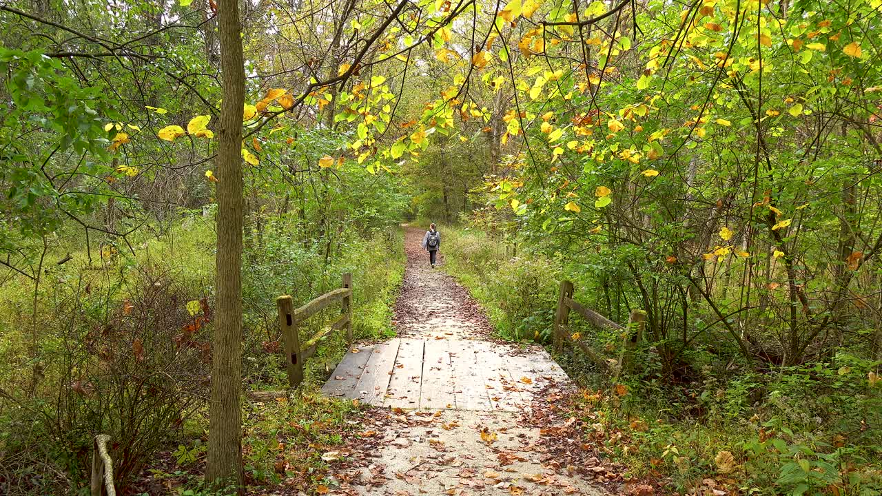 donna che fa un'escursione attraverso un sentiero forestale autunnale 4k