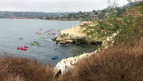 people explore a cove in la, jolla, ca