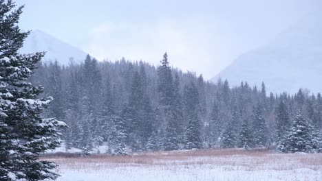 early winter weather in the canadian rockies
