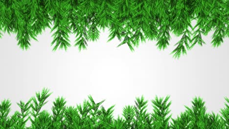 green christmas tree branches with copy space on grey background