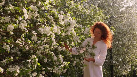 woman in a white dress among blooming apple trees