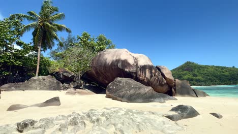 mahe seychelles, revealing of rock boulders and palm trees