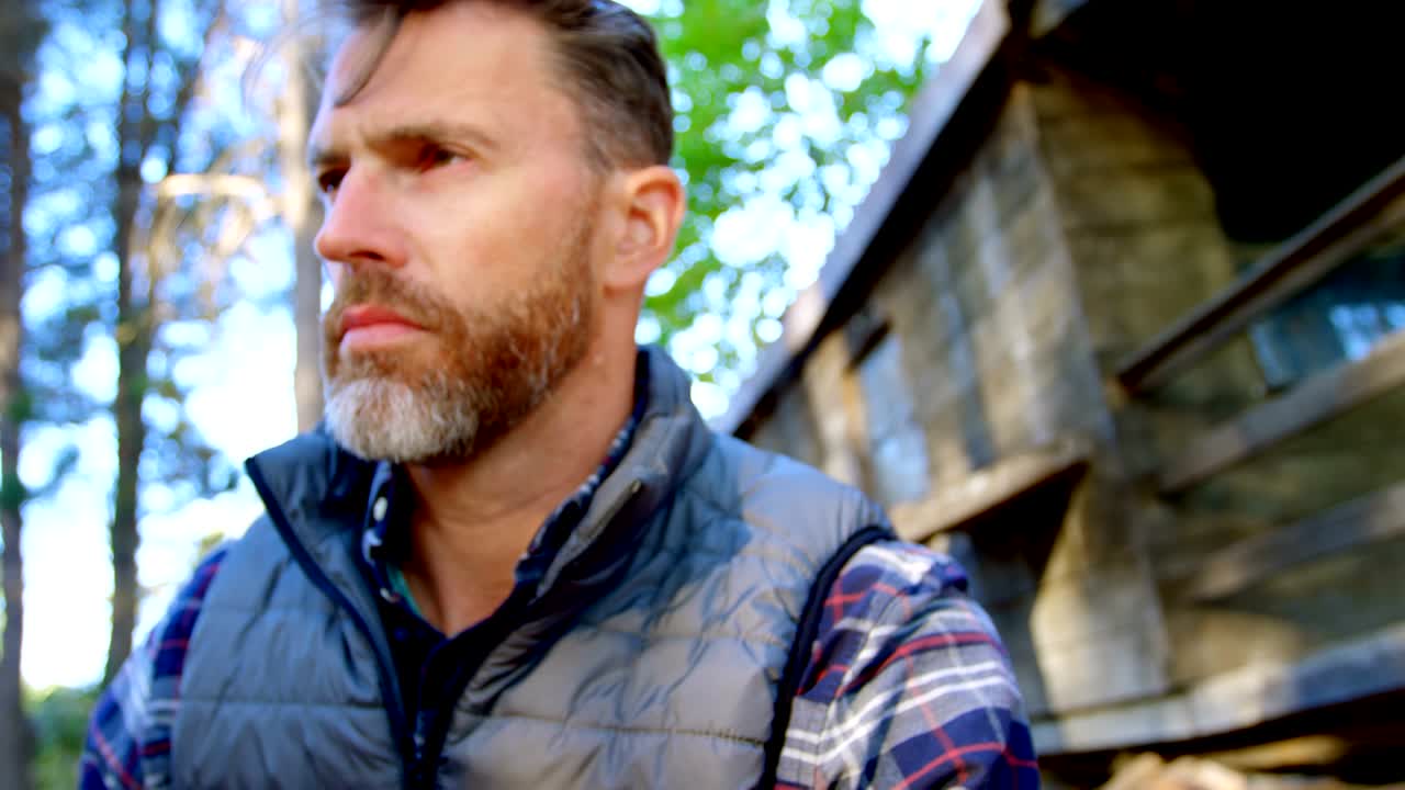 숲에서 물을 마시는 수 ⁇  나무 ⁇  4k