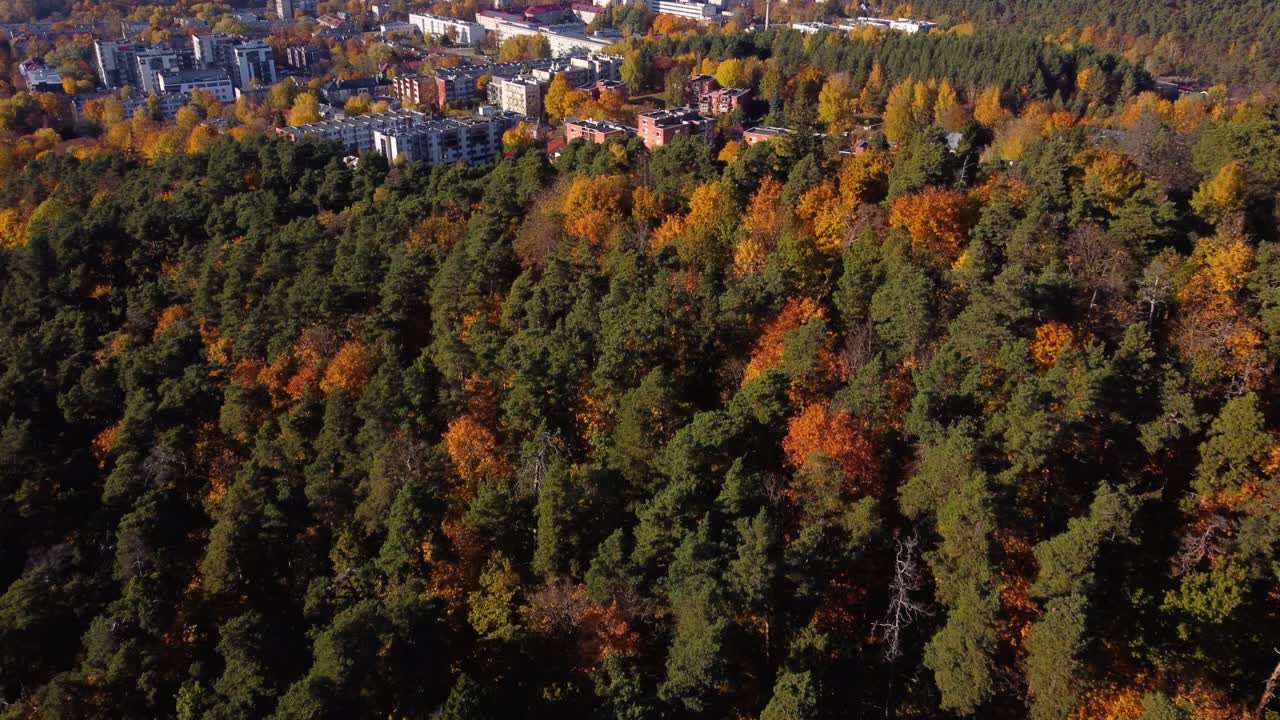 AERIAL Shot of an Autumn Forest with City Buildings in the background in Vilnius, Lithuania