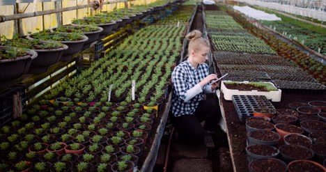 gardener using digital tablet in greenhouse 3