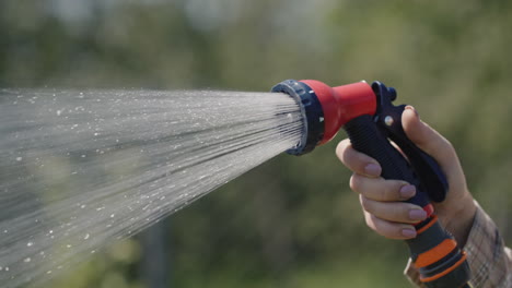 gardener's hand sprays a garden hose with a diffuser 1