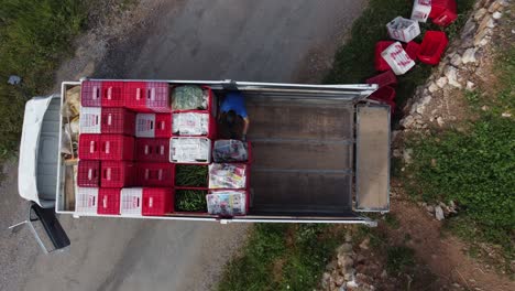 Trabajadores-Agrícolas-Cargando-Camiones-Cajones