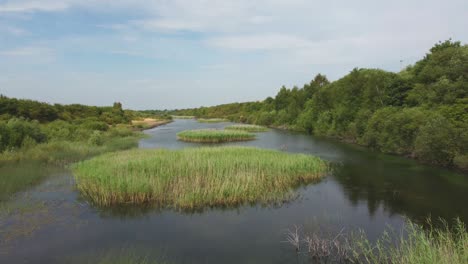 Un-Vuelo-Sobre-Un-Gran-Lago-En-El-Campo,-Durante-El-Verano