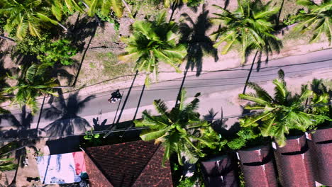 Scooter-driving-in-shade-of-palm-trees-on-rural-asphalt-road-in-Bali