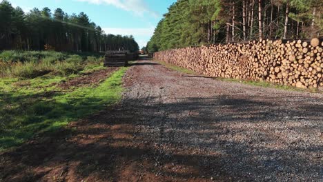 forest road with stacked logs