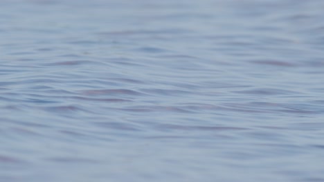 Abstrakte-Nahaufnahme-Von-Wasserwellen-In-Zeitlupe