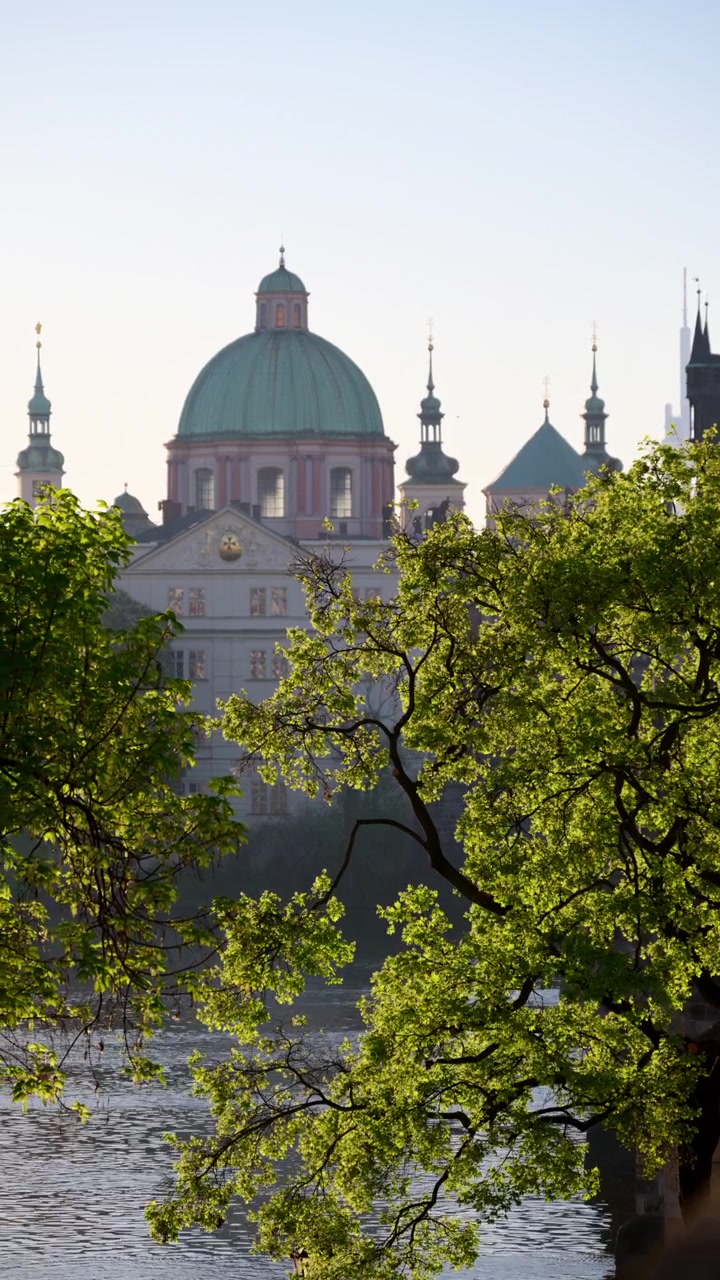 Vista vertical de uma árvore frondosa sobre o Rio Vltava com uma cúpula de igreja barroca na margem oposta, Praga, República Checa