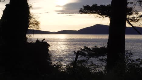 Reflexiones-Sobre-El-Río-Tranquilo-Con-Siluetas-En-El-Parque-De-Washington-En-Anacortes,-Washington-Usa