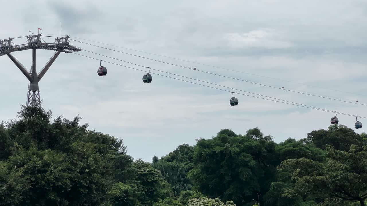 Funivie sopra la lussureggiante foresta del Parco di Mount Faber a Singapore.