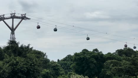 los teleféricos sobre el exuberante bosque del parque mount faber en singapur