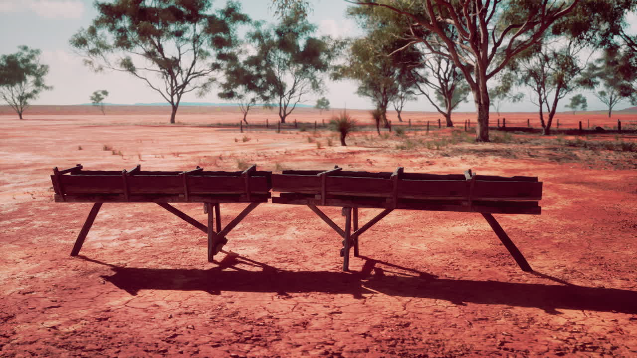 사바나 의 전통적 인 나무 수로