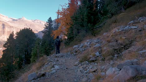 back view of young hiker man with trekking backpack walking on trail in dark autumn woods in ordesa national park, spain