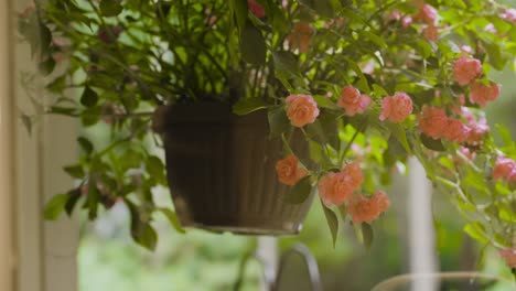 Wochenendblumen-Hängen-An-Einem-Haken