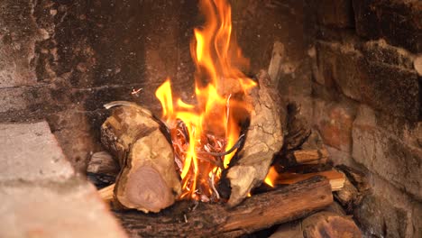 pequeños leños para hacer brasas y cocinar a la parrilla