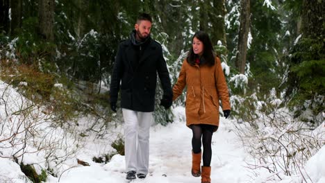 Souple-Redet-Beim-Spaziergang-Auf-Dem-Schneebedeckten-Waldweg