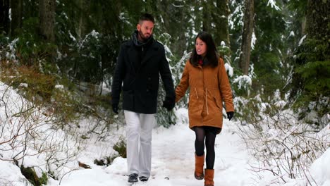 souple talking while walking on the snow covered forest path