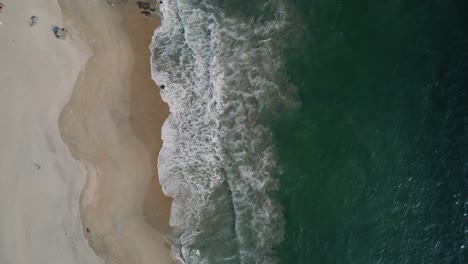 top down rising drone shot of a white sand beach in mexico