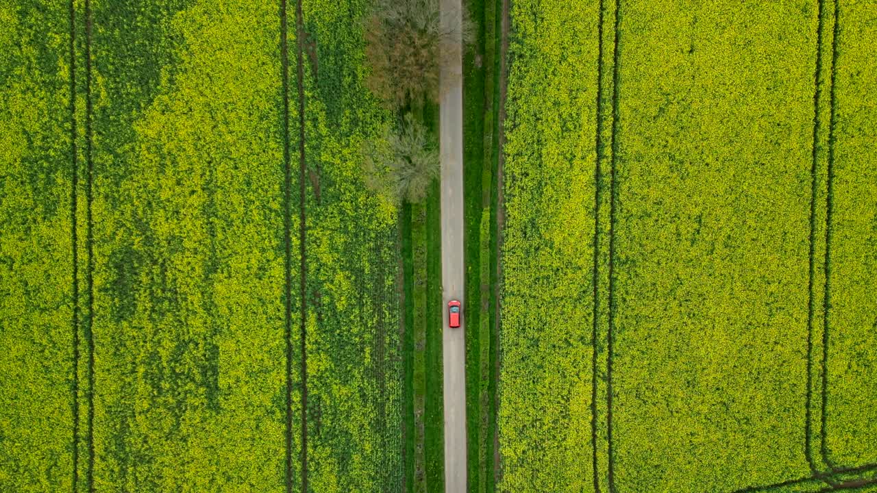 영국 워스터셔 의  ⁇  에 있는 밝은 노란색 라프시드 작물 의 공중 사진