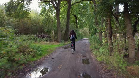 cycling on a cycling road in the forest