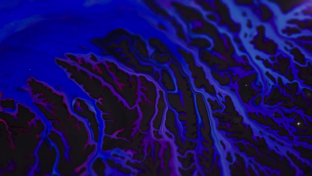 Un vivace inchiostro blu crea motivi astratti che evocano mistero
