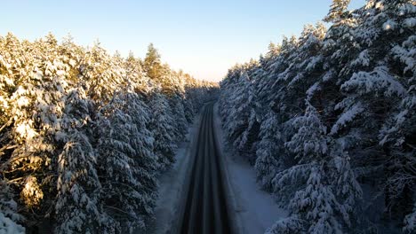 drone-shot-of-the-narrow-asphalt-road-surrounded-by-snow-covered-forest-pine-trees-on-a-cloudy-frosty-winter-day