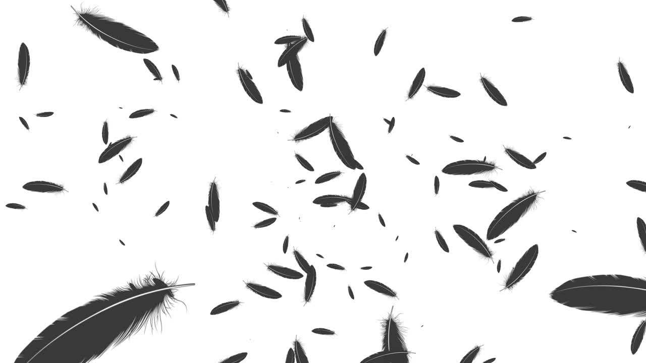 gráficos de movimiento de partículas en vuelo de pluma negra