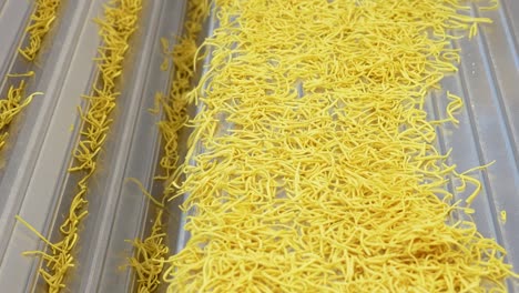 producción en masa de fideos instantáneos en cámara lenta