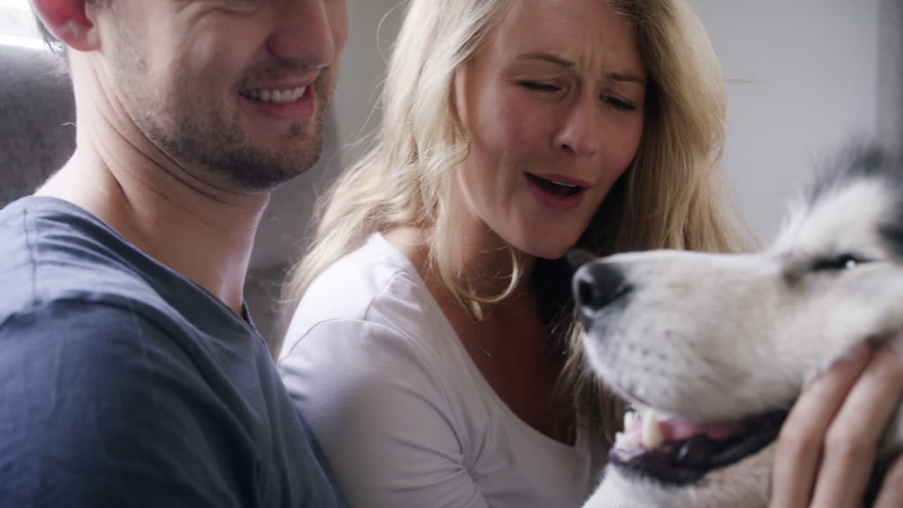 두 마리의 개와 함께 침대에 누워 있는 부부