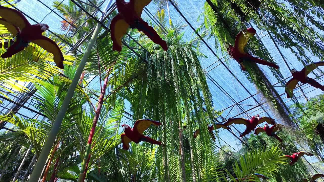 Hanging exotic parrots decor decoration Pattaya Nong Nooch Botanical Garden Thailand