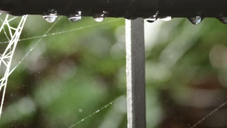 raindrops glistening on a spider web outdoors