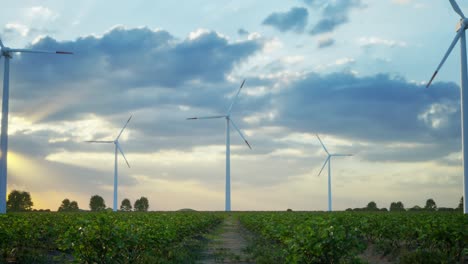 wind turbines standing in sunset. farm with wind turbines. generating clean renewable energy. bright orange sunset. alternative energy