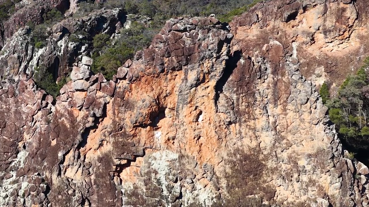 Un águila audaz se posa sobre la formación rocosa The Breadknife en el Parque Nacional Warrumbungle, Australia.
