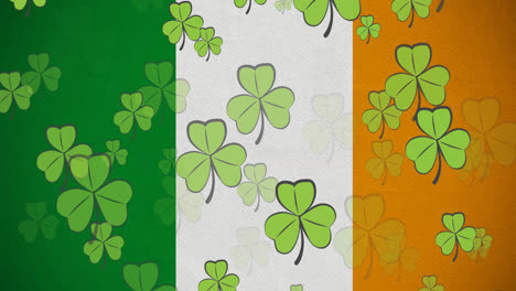 digital animation of multiple clover leaves floating against irish flag