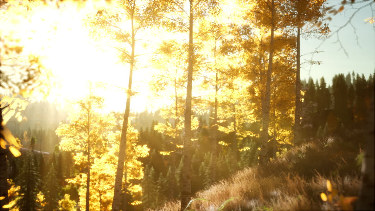 яркий закат в горах с лесом