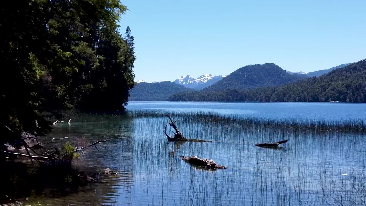 amazing lake surrounded by green forest and snowy mountains in Patagonia Argentina