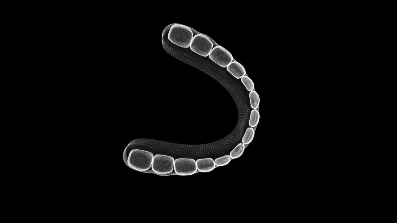 인간 치아의 홀로그램 스크린 3d - 루프