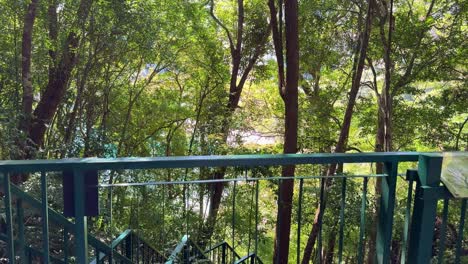 Hong-Island-viewpoint-POV-Krabi-Thailand-jungle-vegetation-trees-nature